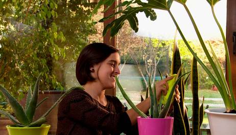 ¿Cómo purificar el aire de la casa con plantas?