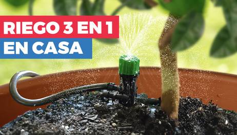 Cómo hacer un riego por goteo para plantas