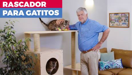 Cómo hacer un rascador para gatos