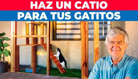 Cómo construir un catio para tu gato