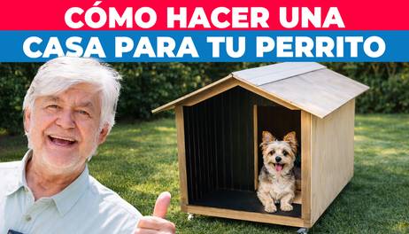 Cómo hacer una casa de madera para perro