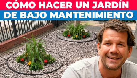 Cómo hacer un jardín de bajo mantenimiento con piedras y plantas