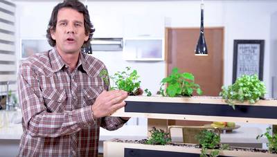 ¿Cómo hacer una huerta interior?