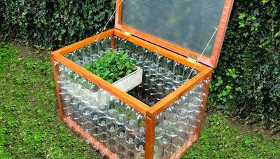 ¿Cómo hacer un invernadero con botellas recicladas?