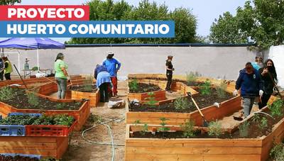 Cómo planificar un huerto comunitario