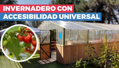 Cómo mejorar un invernadero con accesibilidad universal