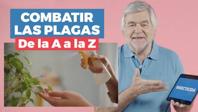 De la A a la Z: Plagas