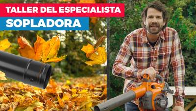 El taller del especialista: Sopladora