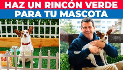 Cómo hacer un rincón verde para mascota