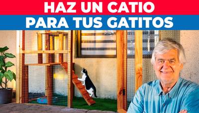 Cómo construir un catio para tu gato