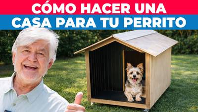 Cómo hacer una casa de madera para perro