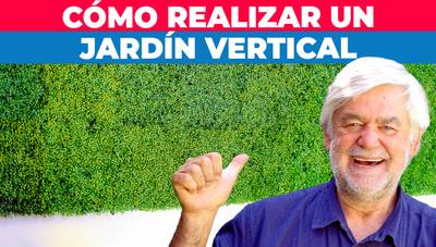 Cómo transformar tu muro en un jardín vertical