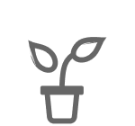 Jardín