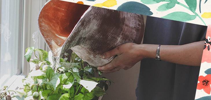 Cómo tener tu huerta en casa