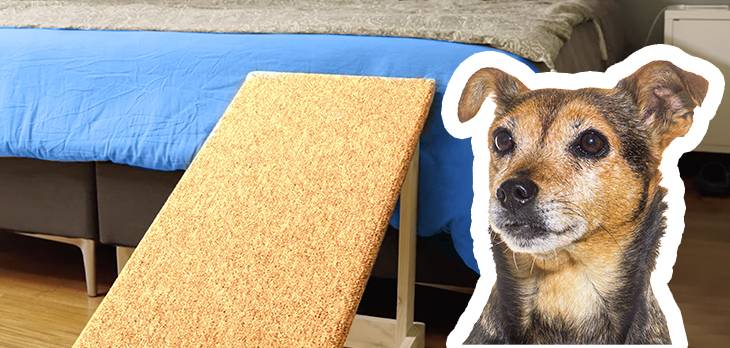 Ideas de muebles para mascotas